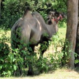 1007G 33 Ruhr Radweg